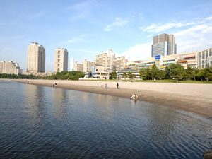 odaiba_kaihin_park