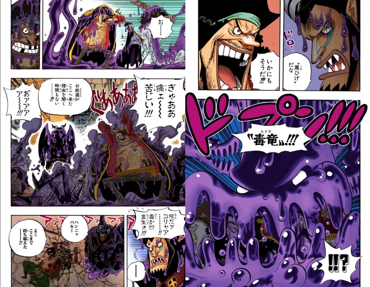 冥王レイリー 今の黒ひげに正面からでは勝てない これ おまわろ速報