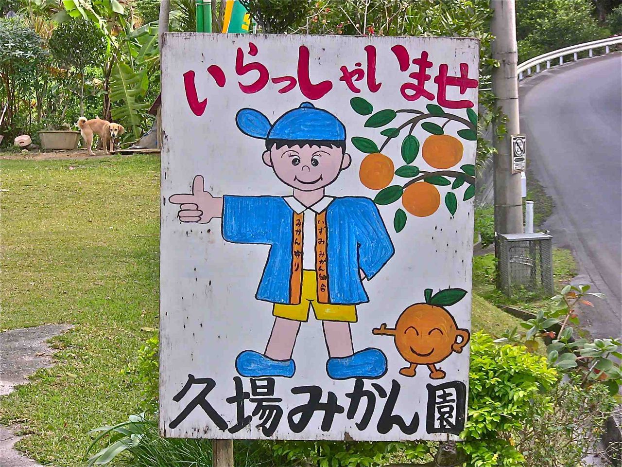 イメージ 1