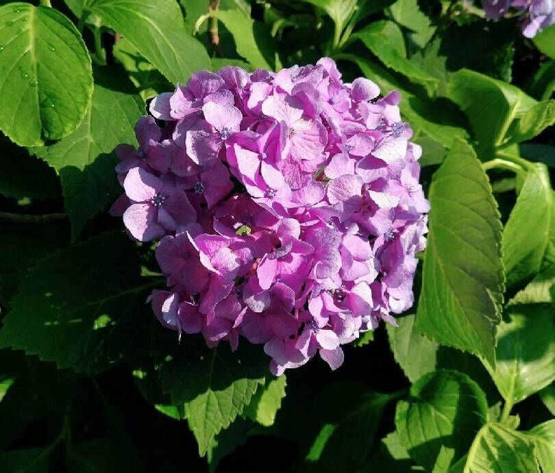 お花を贈ろう さて勘定科目は何になる 目指せ 雑貨ショップオーナー