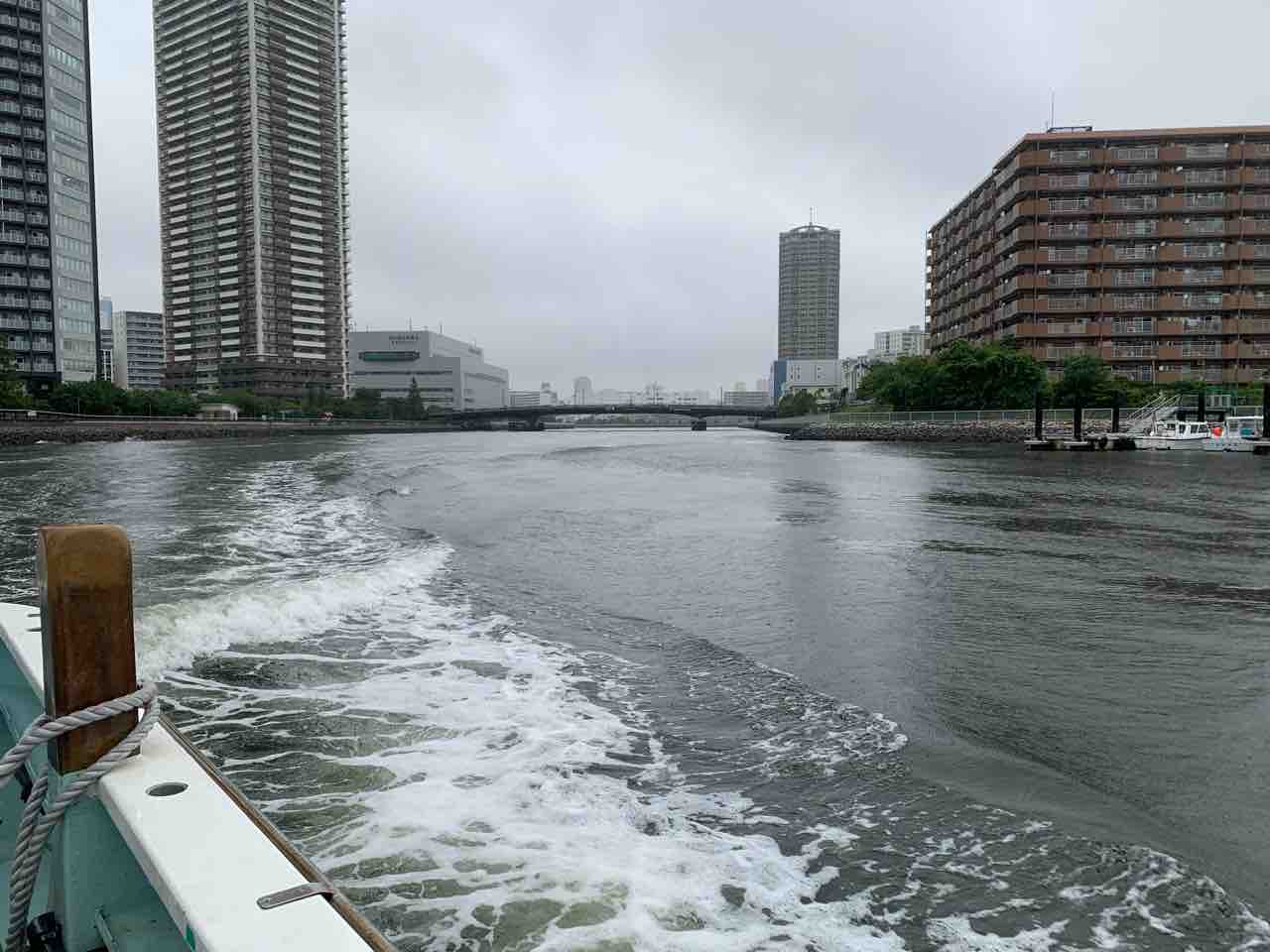 東京湾バチコンアジングでアジが釣れすぎた 釣果 7月中旬 ふぁーぶる釣考記