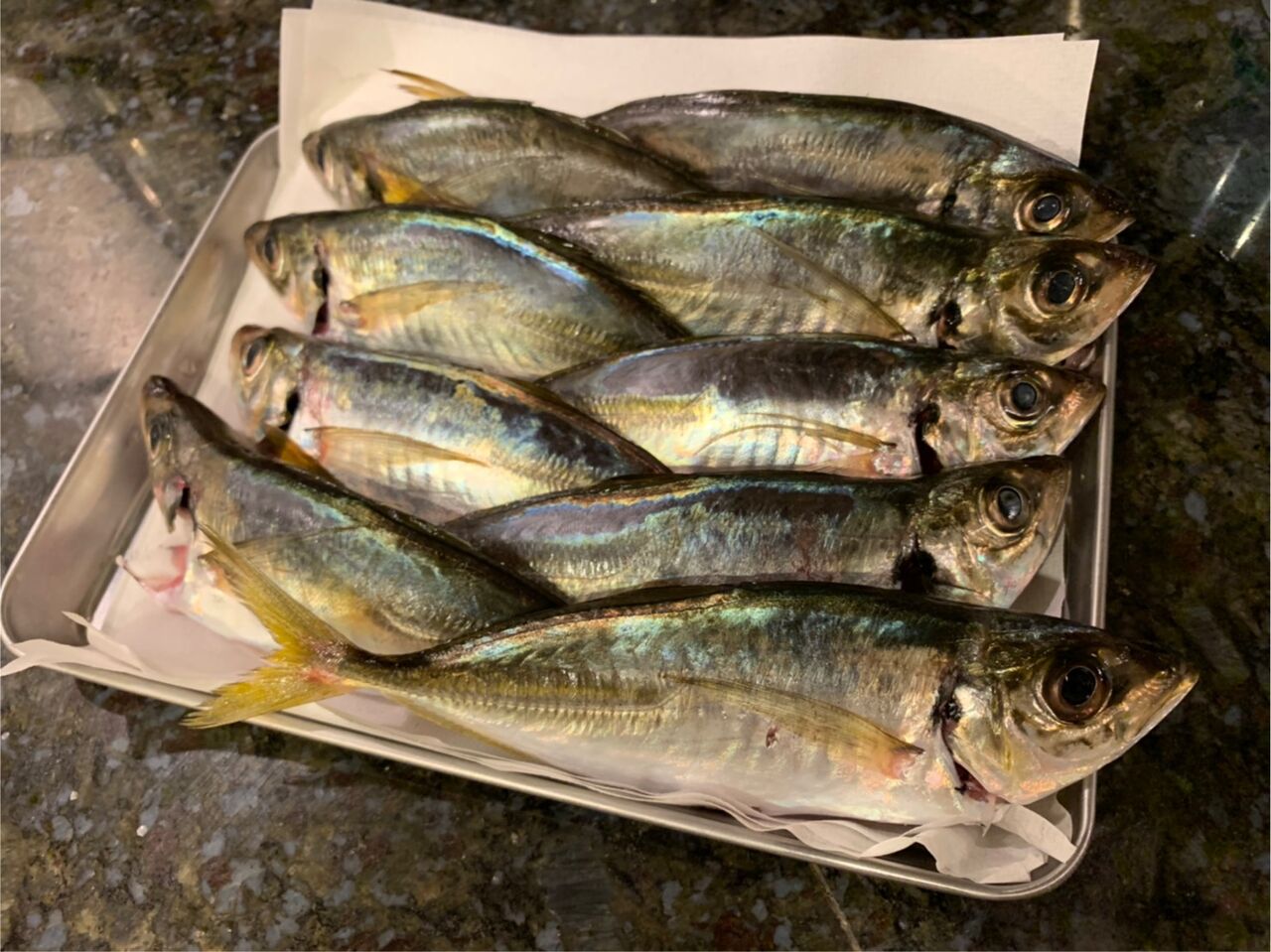 ワカシ 食べ方 2996 ワカシ 食べ方 Nyosspixqajr