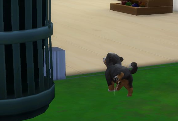 Sims4 家の外全てが彼のトイレ 10日目後編 Vegaゆる紅茶 Sims4 家の外全てが彼のトイレ 10日目後編 Vegaゆる紅茶