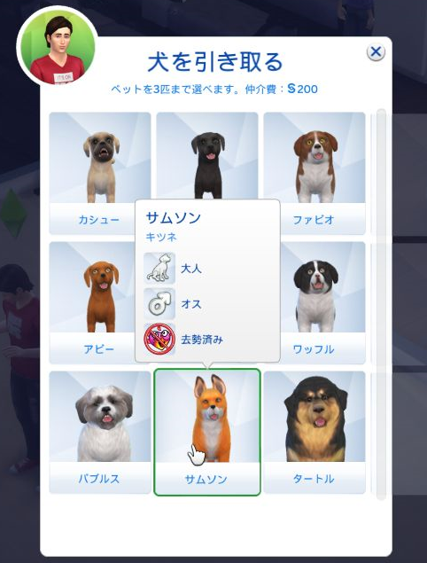 Sims4 キツネは犬なんです 8日目前編 Vegaゆる紅茶 Sims4 キツネは犬なんです 8日目前編 Vegaゆる紅茶