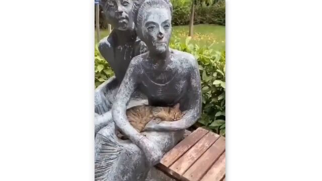 ひんやり気持ちいいのかな？彫刻の膝の上に座り、腕に抱かれてくつろぐ猫