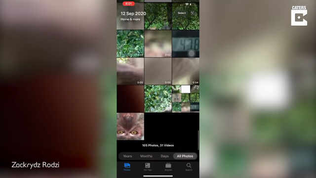 寝ている間に無くした携帯電話を家の裏手で発見。中身を確認すると、犯人のサルが撮影した自撮り写真や動画がたっぷりあったという珍事件