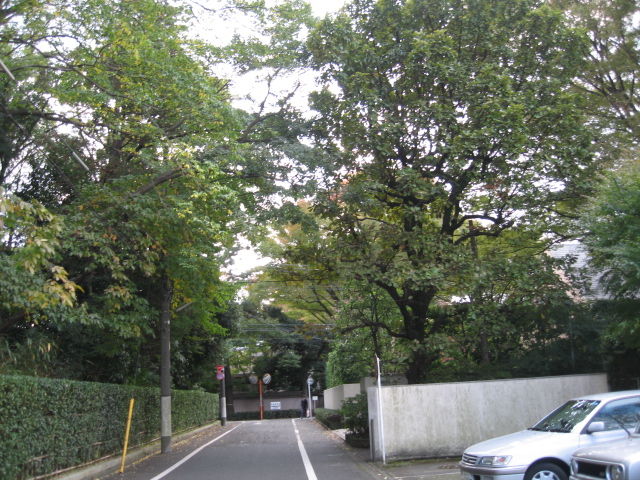 会館50周年記念特別展 国宝源氏物語絵巻 : 書に関してあれこれ