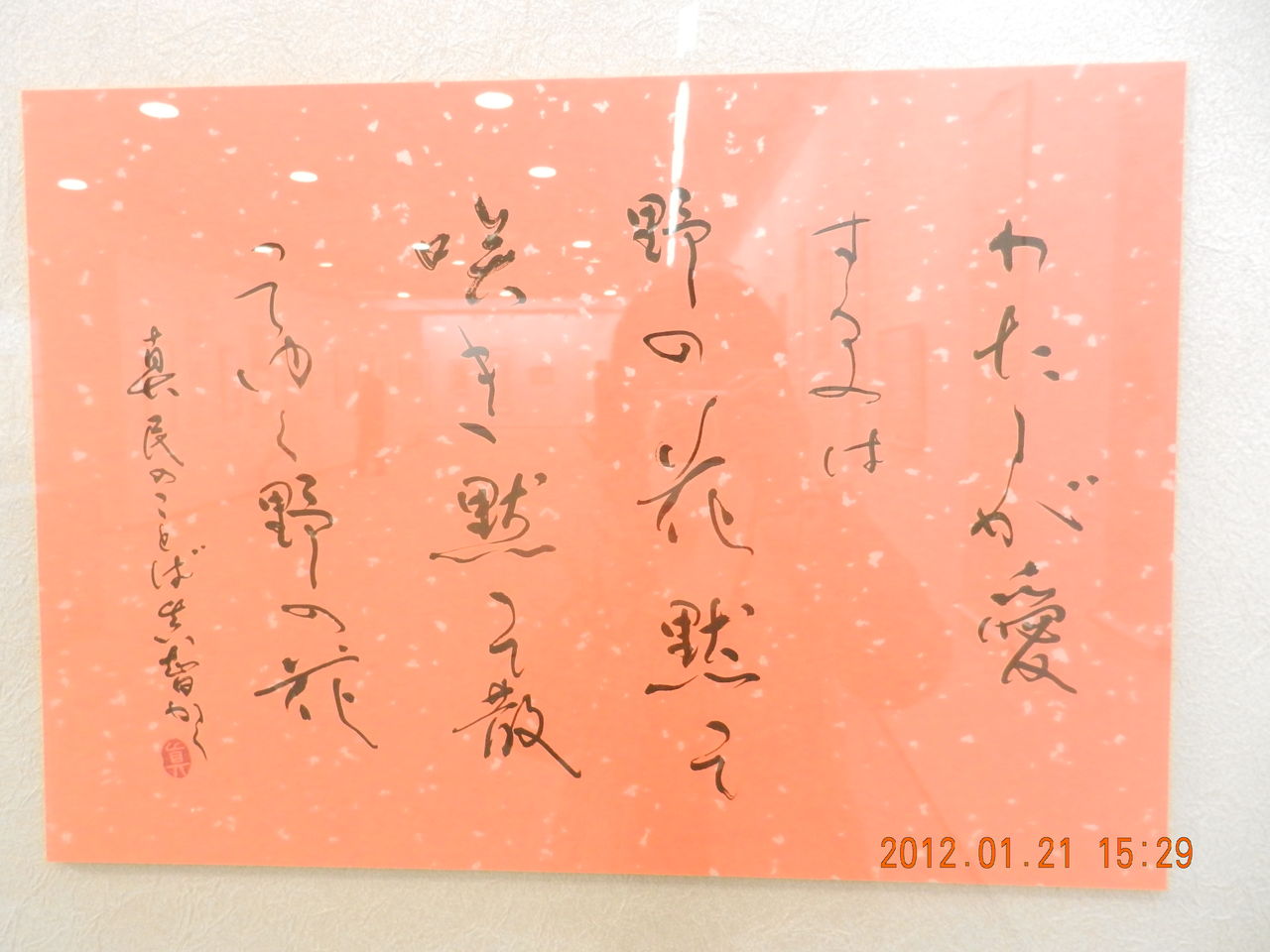 第43回 正筆会 菁華 書作展 : 書に関してあれこれ