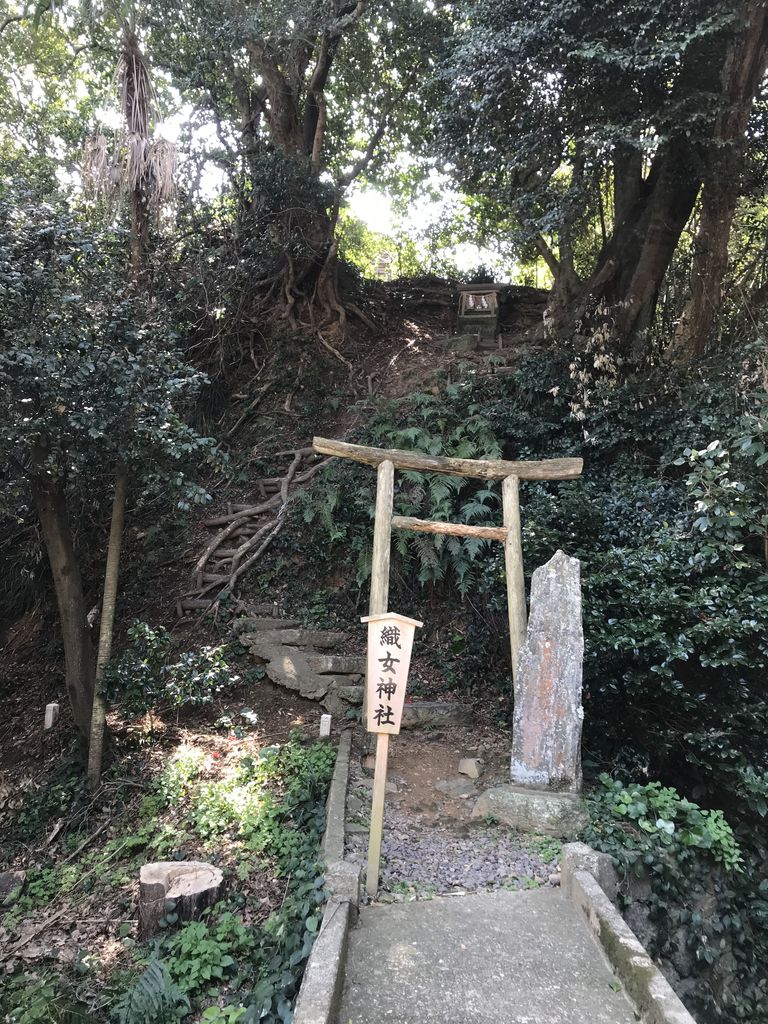 自転車を引いて歩く 堤防