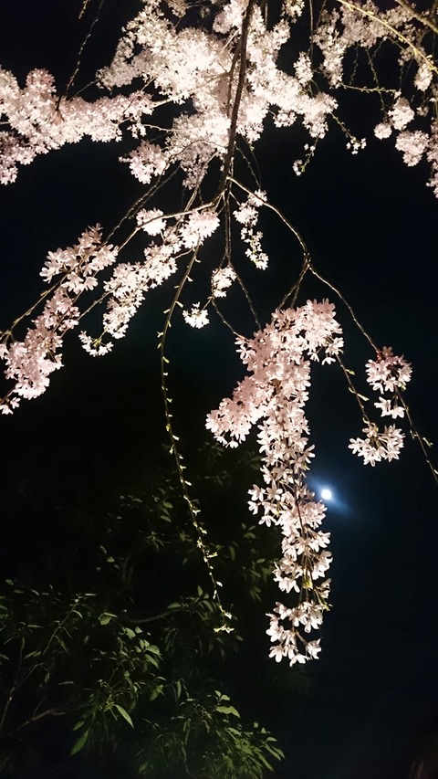 BeautyPlus_20180329093527_save