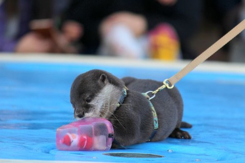 EAC22A79834E4CE9AD75FF2A128B1DA1_L