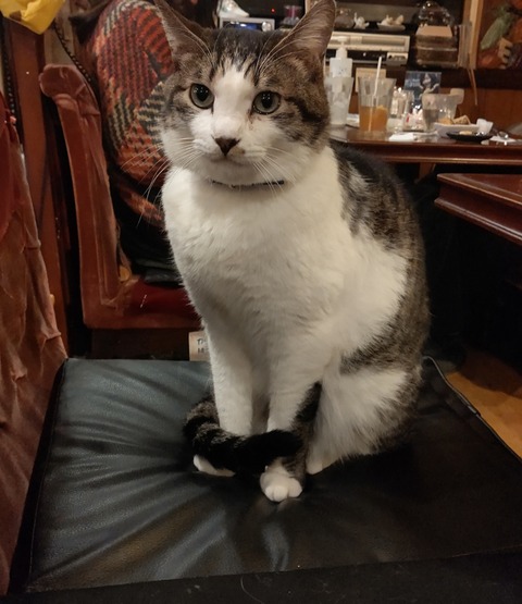 BeautyPlus_20211214161719877_save