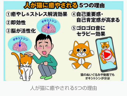 Screenshot_20231117-145956~2