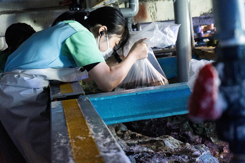 report_241_06-1024x683