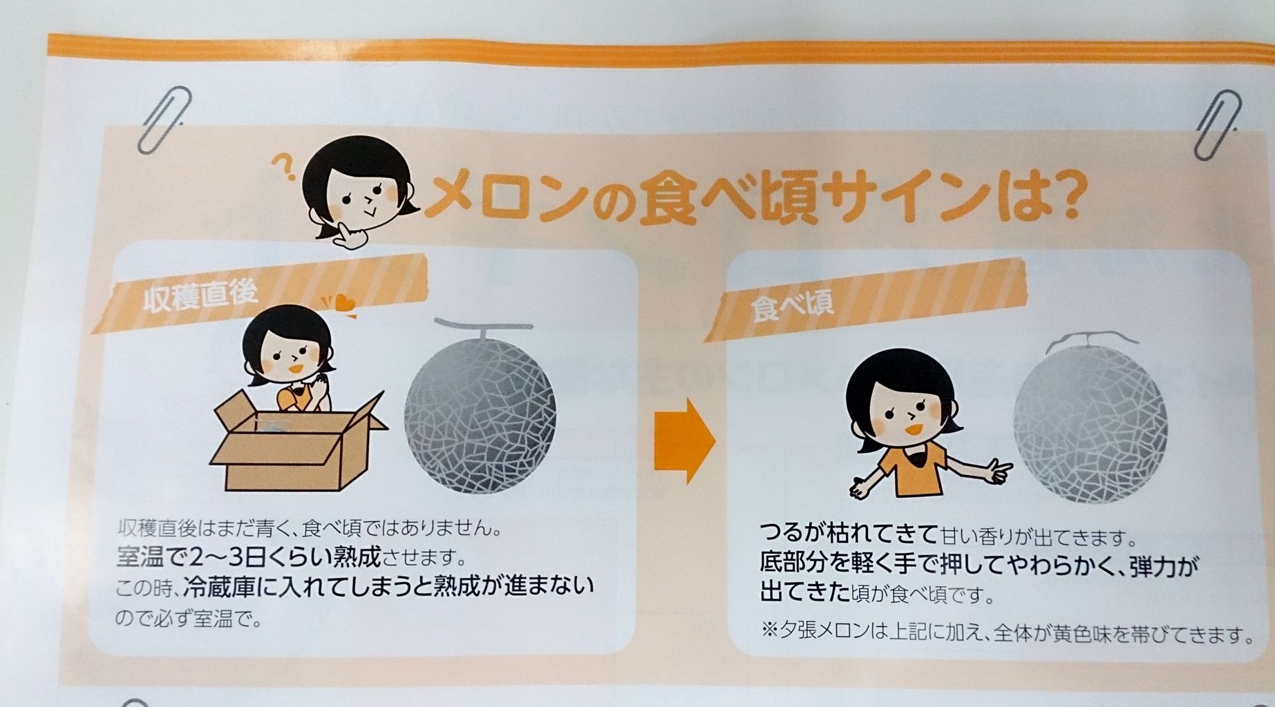 15年08月 オモロの倉庫 物流システム改善ブログ 15年08月 オモロの倉庫 物流システム改善ブログ
