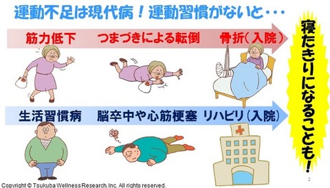 2a831ec055ed4fee4e1d0936ea40500d13