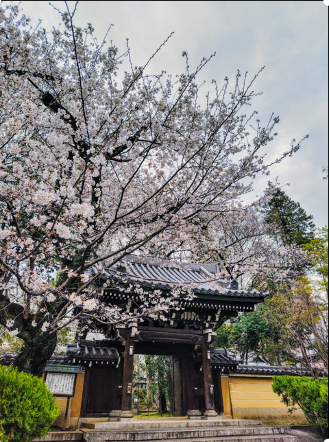 Screenshot_20240405-161127~2