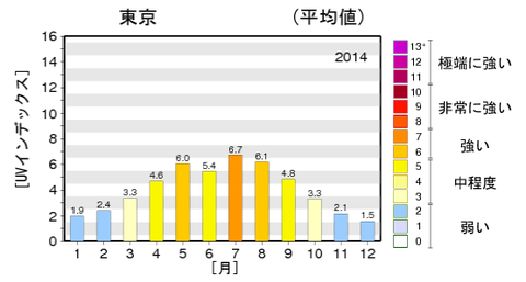 tokyo2014shigaisen