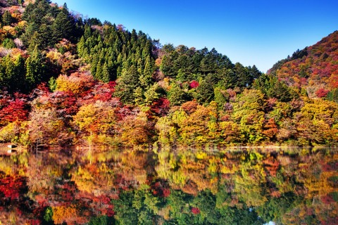 紅葉スポット3_奥多摩湖-1024x683