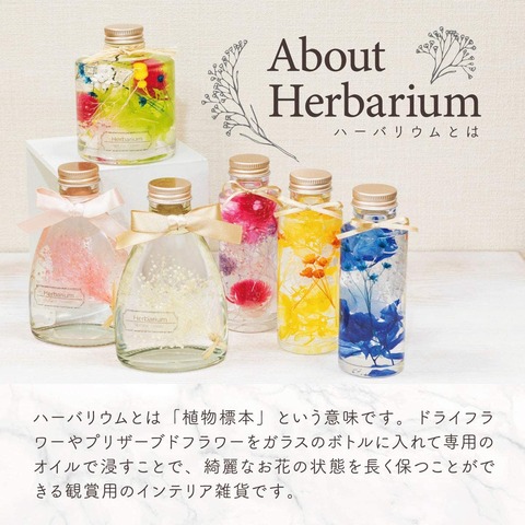 71iph-4siOL._AC_SL1200_