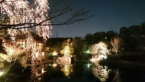 BeautyPlus_20180329093429_save