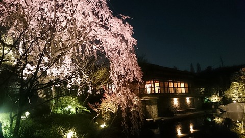 BeautyPlus_20180329093254_save