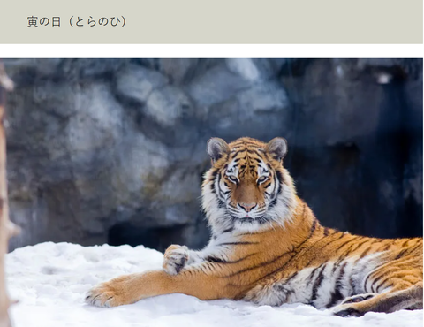 スクリーンショット 2024-03-15 173429