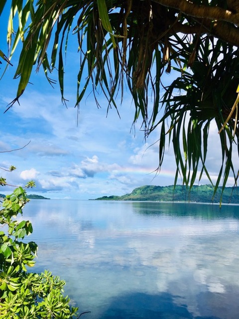 03345C04-69DC-4DFB-947C-452108F97D53-768x1024