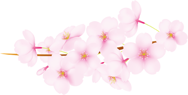 sp10_01