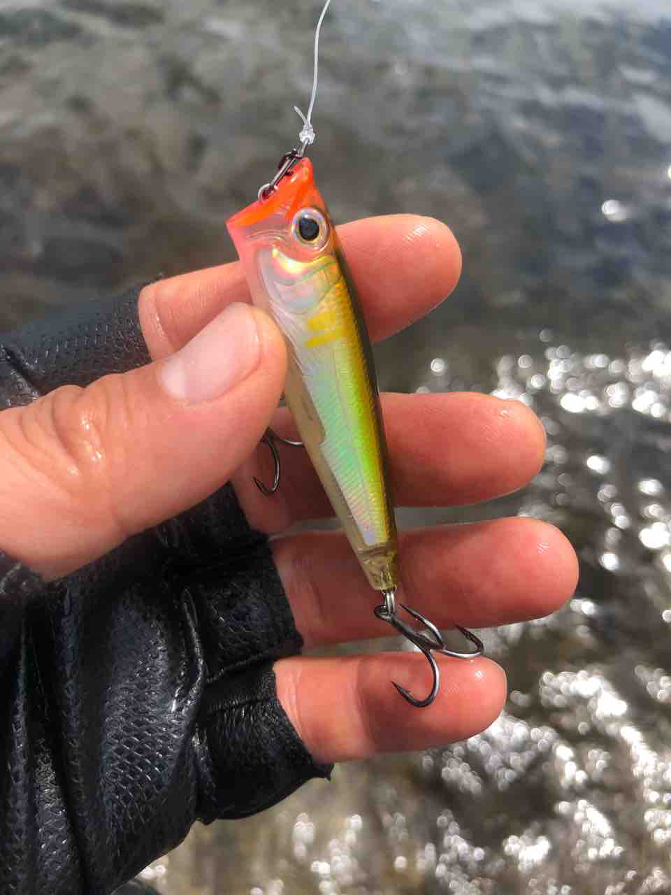 Strange 18 Sクロダイトップゲーム Day7 Akita Seabass Fishing Club Strange 3rd Season Strange 18 Sクロダイトップゲーム Day7 Akita Seabass Fishing Club Strange 3rd Season