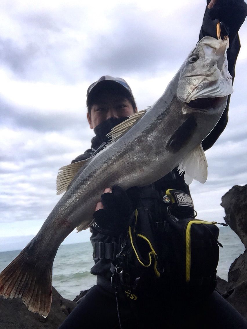 Strange 春の磯マルゲーム Akita Seabass Fishing Club Strange 3rd Season