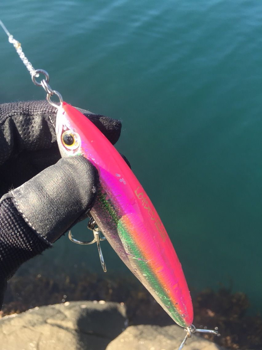 17日本海シーバス 5 ブルー馬っ鹿ー編 Akita Seabass Fishing Club Strange 3rd Season