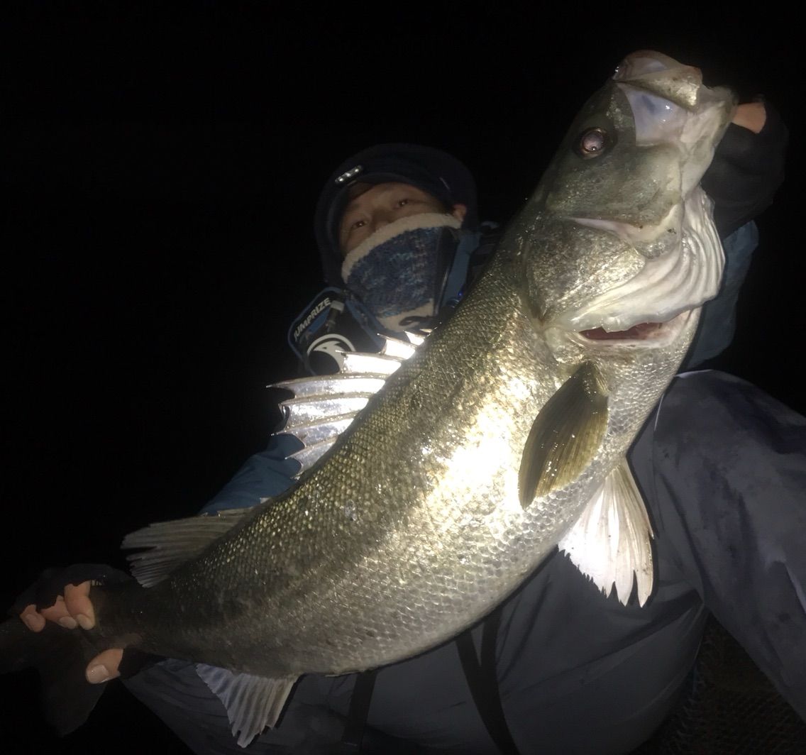 STRANGE FISHING REPORT 釣行レポート 諦めるなSTRANGE.追いかけろ