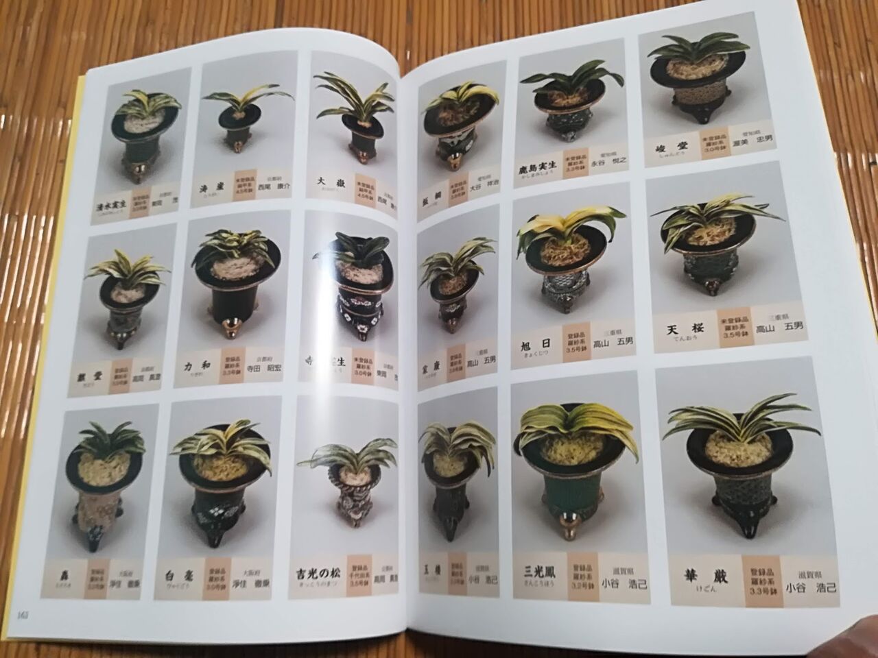イメージ 4