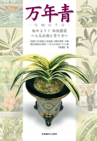 始めよう伝統園芸おもと』の本と四君子 : 万年青の豊明園のblog