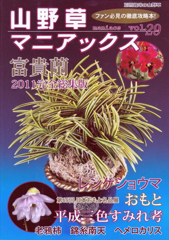 おもと《山野草マニアックス vol.29》 別冊 趣味の山野草 豊明園 水野  