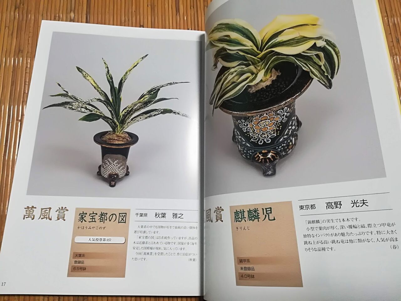 イメージ 3