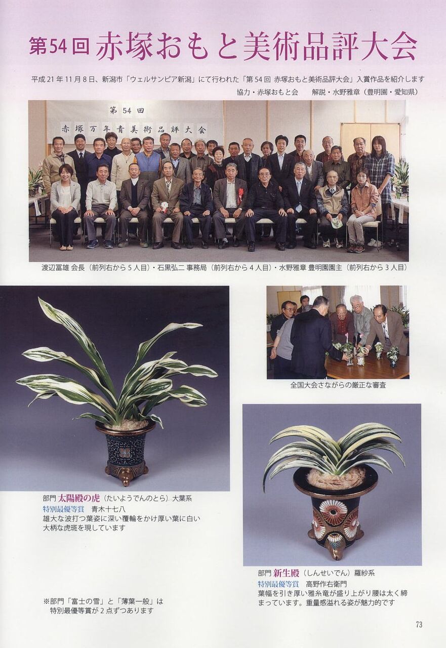 おもと 山野草マニアックス vol 23 P73～83 : 万年青の豊明園のblog