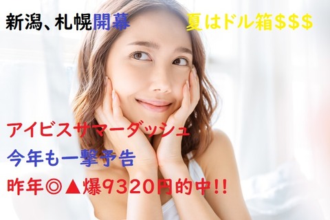 アイビス20