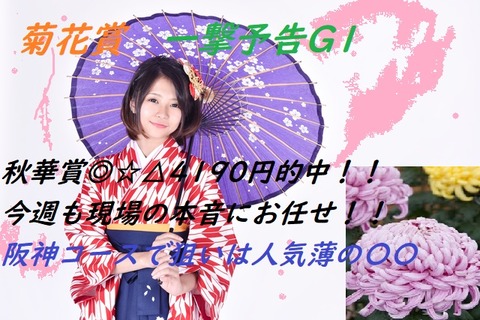 菊21