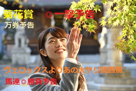 菊19