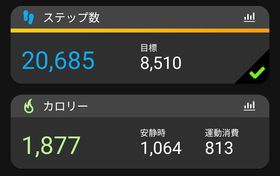 46.3kg 21.8％ &バイト