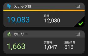 45.5kg 20.4% &バイト