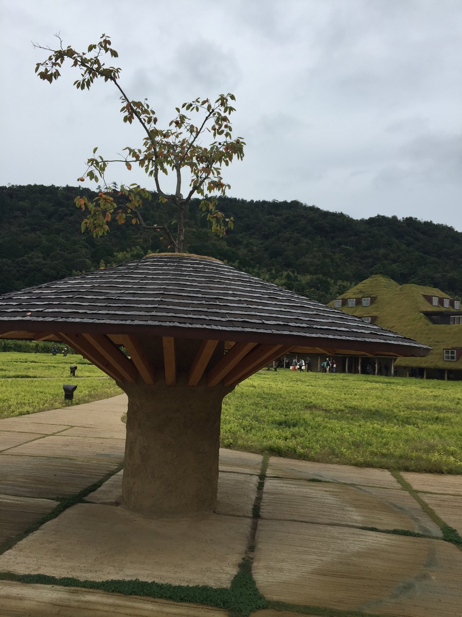 ラ コリーナ 近江八幡の藤森建築と七つ石 火 ホ と ニワ と鍋釜