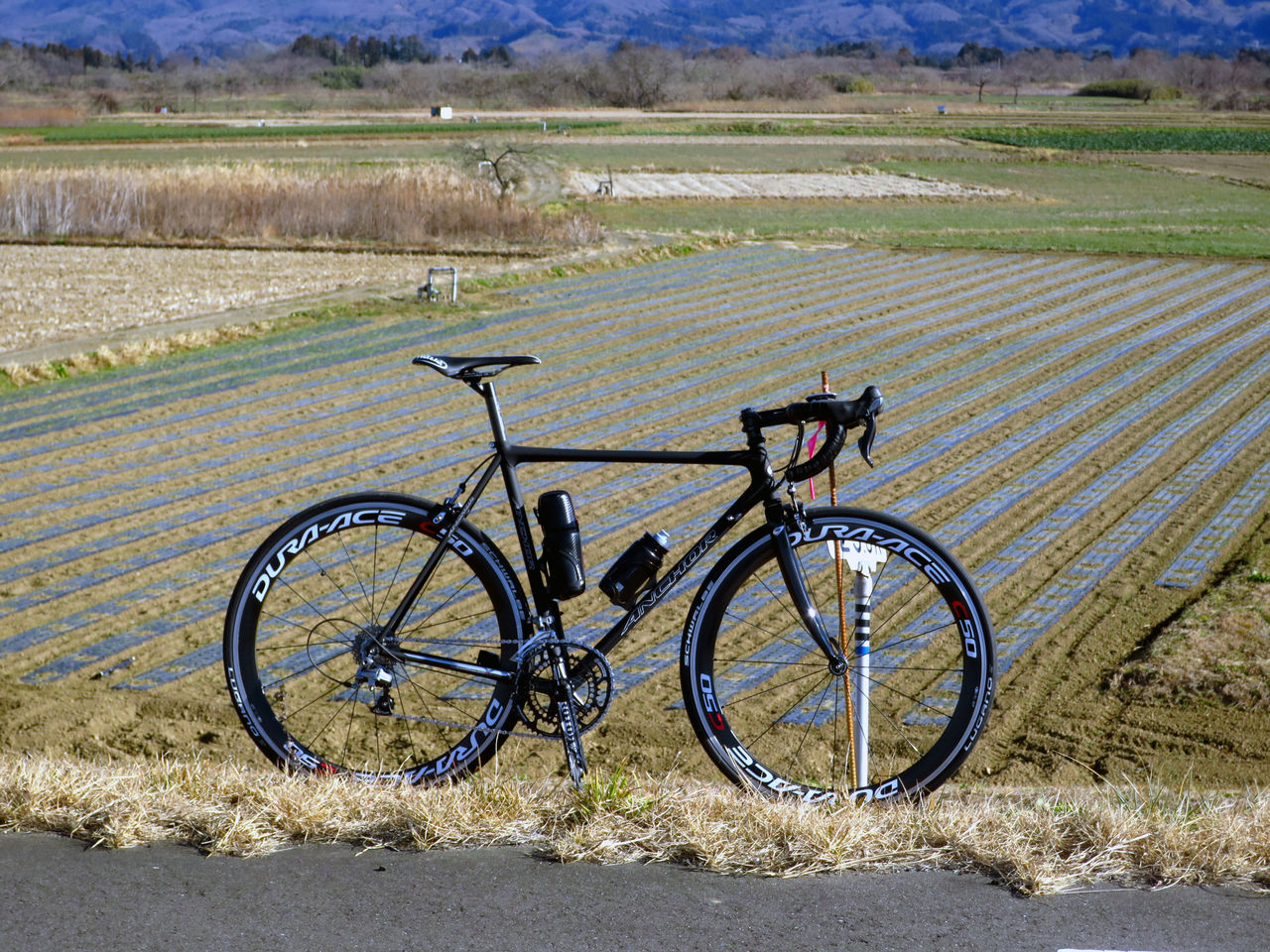 Anchor Rnc7 今年２度目の出撃 Kuota Kharma Kota Kota 日記