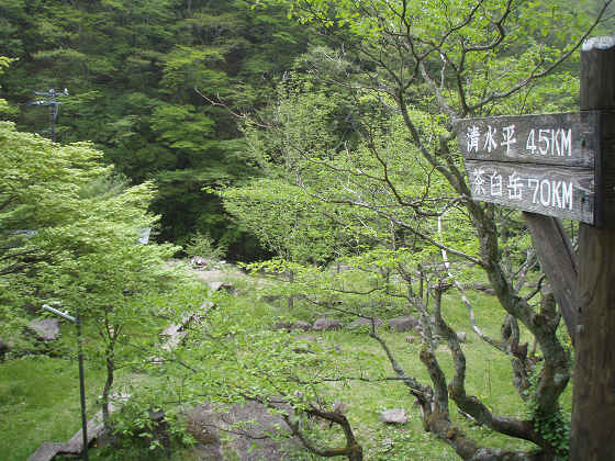 イメージ 11
