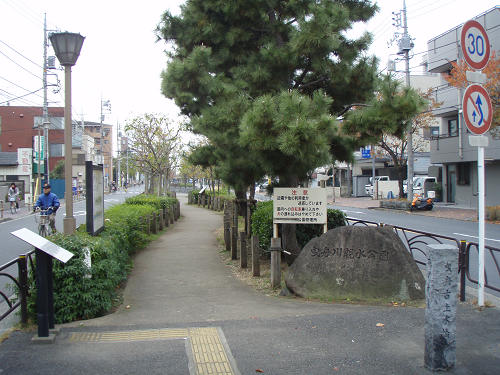 イメージ 13