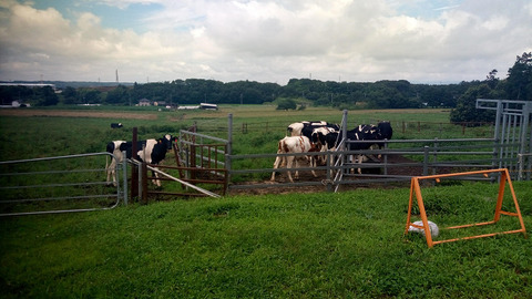 sIMG_20190728_102959