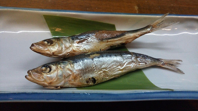 イメージ 5