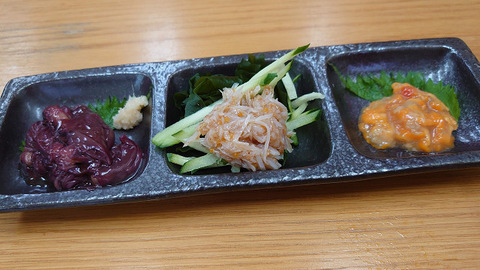resize0879